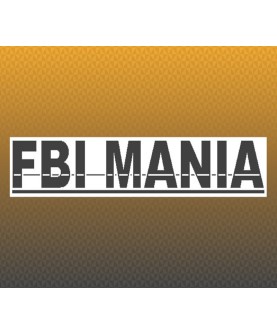 FBI MANIA English Language only Steam Key GLOBAL